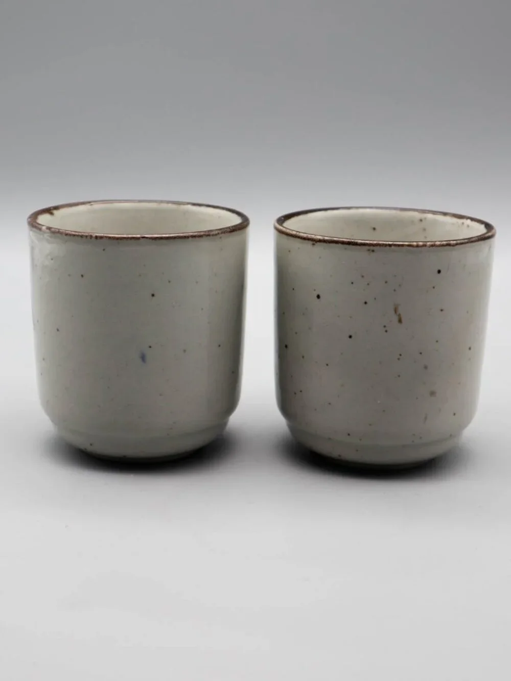 2 Japanese Pottery Yunomi Tea Cups Sake Set Speckled Blue Floral Botanical